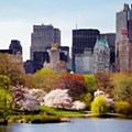 central_park_primavera.jpg