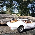 IMG_20210709_184342.jpg