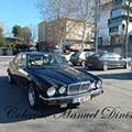IMG_20220206_103752.jpg