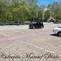 IMG_20220501_114729.jpg
