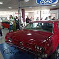 IMG_20221001_115231.jpg
