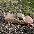 IMG_20221123_142955.jpg