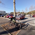 IMG_20230205_102417.jpg