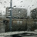 IMG_20230305_122722.jpg