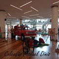 IMG_20230607_174547.jpg