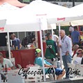 IMG_1587.JPG