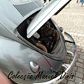 IMG_19.jpg