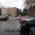 IMG_20250105_121357.jpg