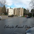 IMG_20250202_104729.jpg