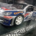 IMG_20250220_171307.jpg