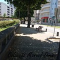 IMG_20250626_144208.jpg