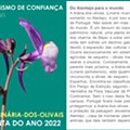 Linaria-ricardoi-Planta-do-Ano-2022.jpg