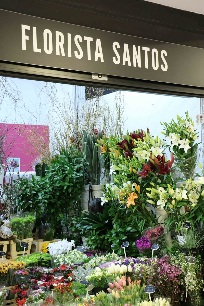florista-Santos-Mundo-de-Sofia.jpg