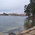 arousa49.jpg