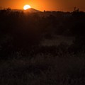 sunset-5.jpg