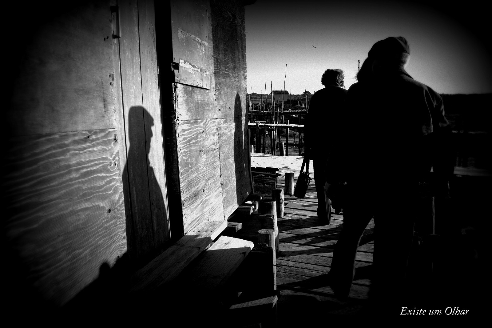 IMG_4632.CR2.jpg IMG_4632.CR2.jpg