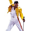 Freddie.png