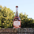 São Luiz Winemaker’s Collection Tinto Cão Reserva Rosé 2022