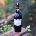 Porto Extravaganza 2023 - Colheitas Quinta do Noval