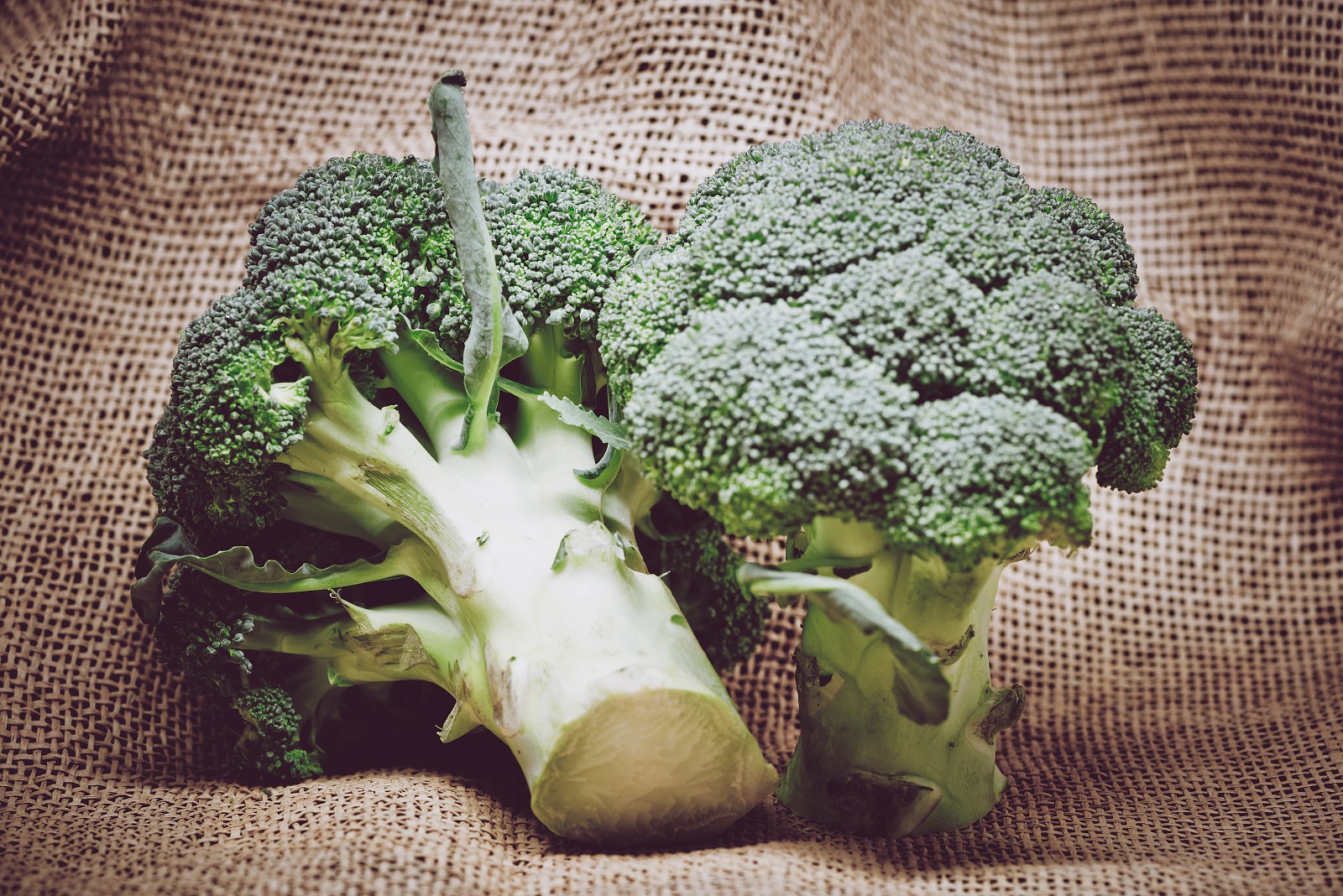 agriculture-broccoli-close-up-close-up-399629.jpg