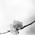 13814f7ce1615aaaf14748a6fa4f5d21.jpg