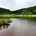 IMG_0043.JPG
