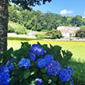 IMG_0050.JPG