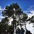 IMG_0237.JPG