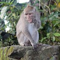 IMG_4412.jpg