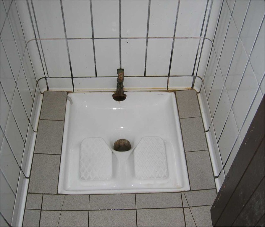 French_Squatter_Toilet.jpg