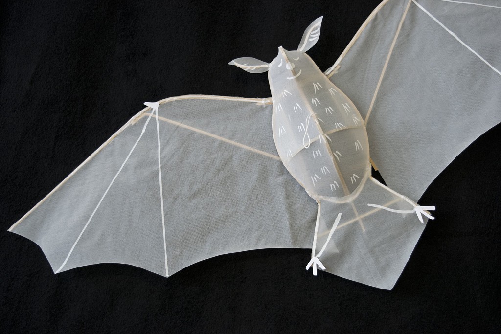 bat-kite.jpg