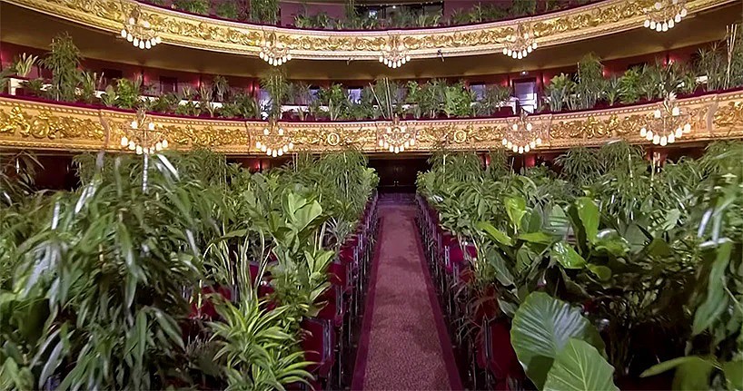 concert-for-plants-barcelona-gran-teatre-liceu-opera-house-002.jpg