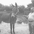 burro.jpg