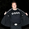 doge.jpg