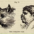pair.jpg