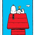 snoopy.jpg