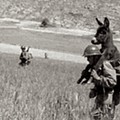 soldier_and_donkey_capa_widelg.jpg