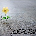 _esperanza.jpg