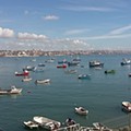 nov_cascais_2.jpg