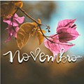 nov_novembro.jpg
