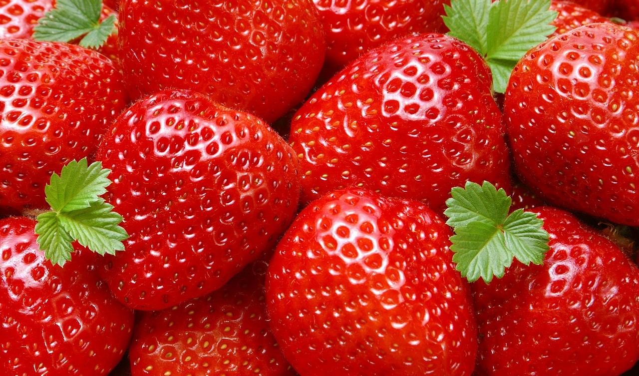 Morangos