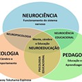 Neuroeducação-figura.jpg