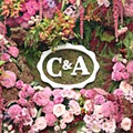 C&A6.jpg