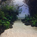 20150907_142637.jpg