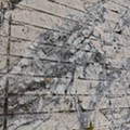 20151018_123733.jpg