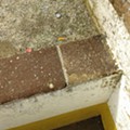 20151018_124023.jpg