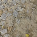 20151018_124445.jpg