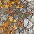 20151018_124546.jpg