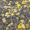 20151107_123346.jpg