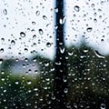 rain-692985_1920.jpg